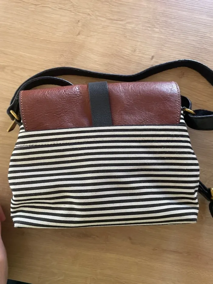 Sac fossil - photo numéro 6
