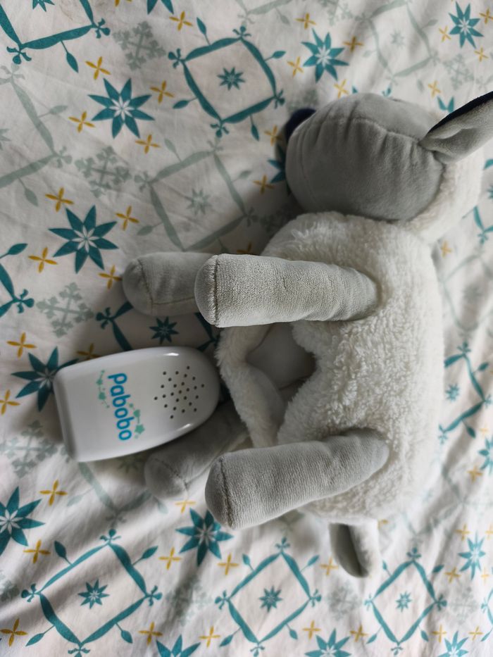 Mouton Pabobo - photo numéro 4