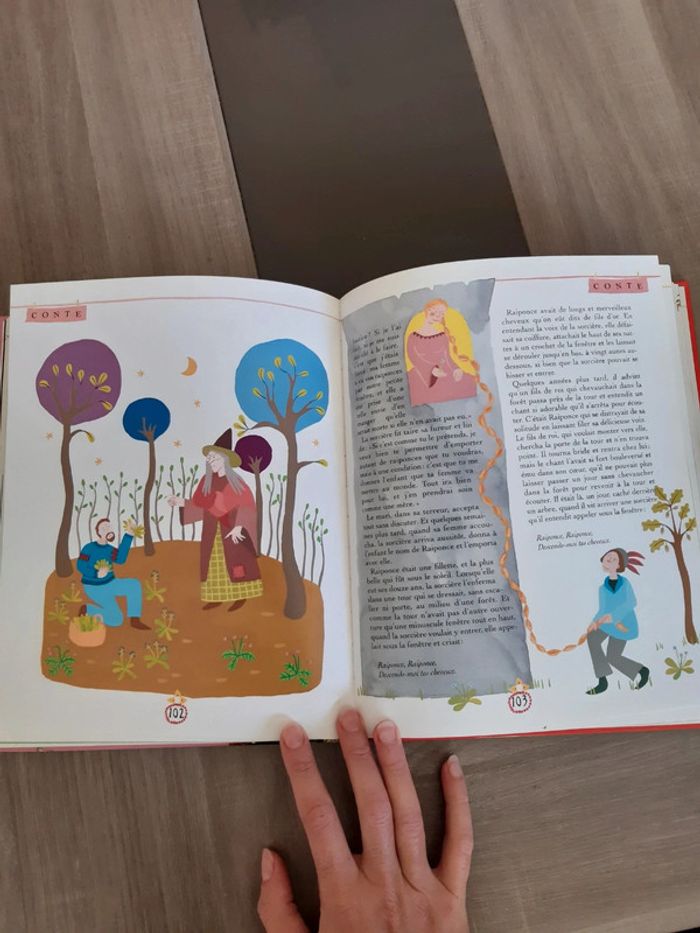 Le grand livre des princes,princesses et grenouilles. - photo numéro 11