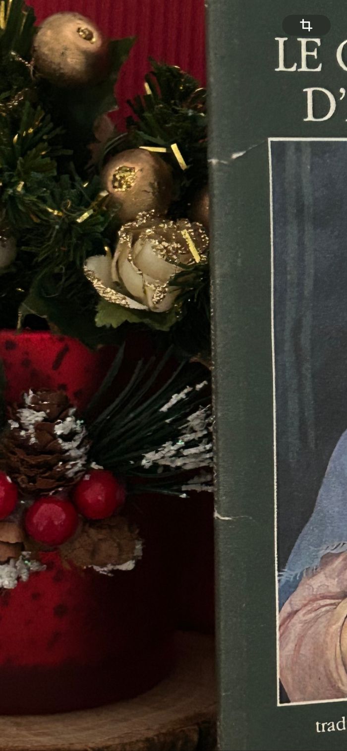 le conte de Noël,D’Auggie Wren (collector) - photo numéro 7