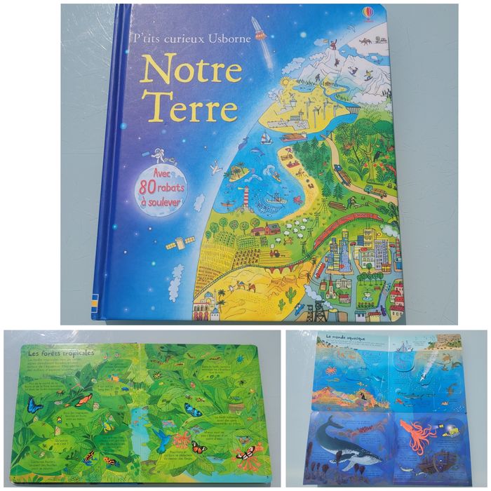 P'tits curieux Usborne 🌎 Notre Terre 🌎 80 rabats - photo numéro 1