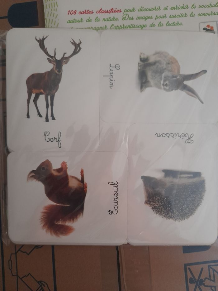 Jeu de cartes de la nature montessori - photo numéro 3