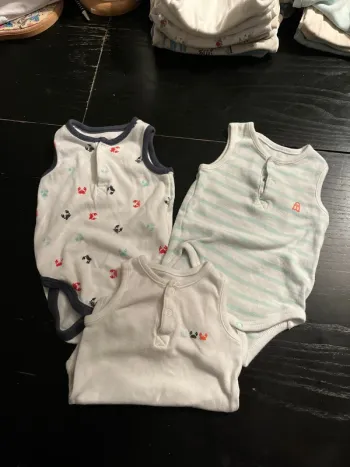 Lot 3 bodies
