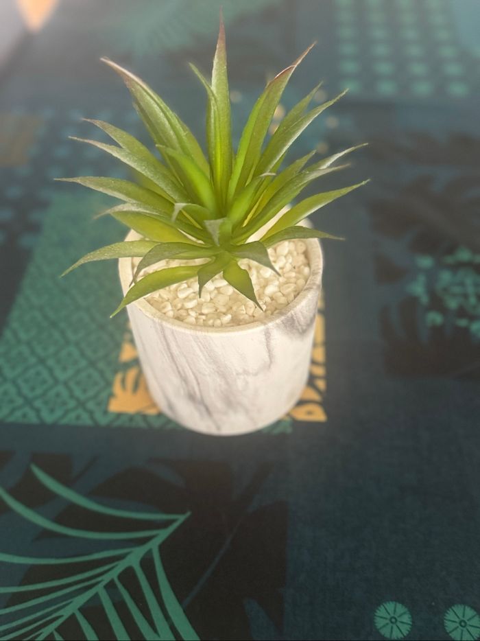Plante artificielle - photo numéro 2