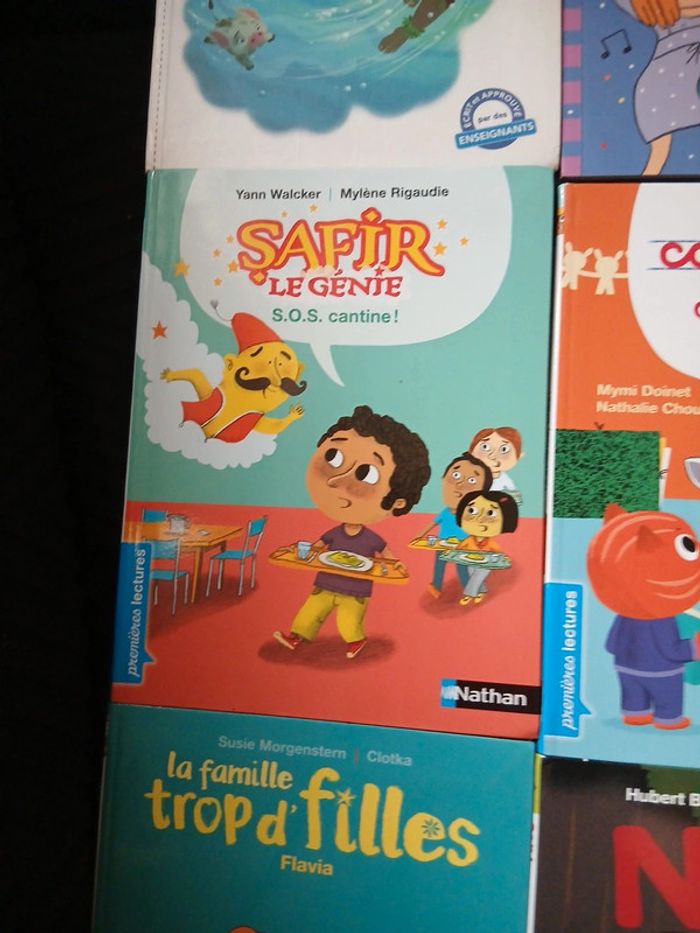 Livres apprentissage lecture - photo numéro 7