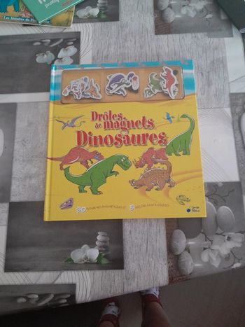 Livre drôle de magnets dinosaures.