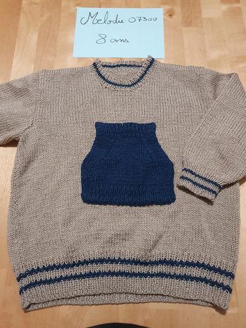 pull marron et marine 8 ans