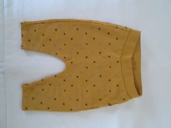 Legging étoiles Grain de Blé 