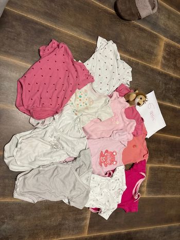 Lot de 11 bodies manches courtes