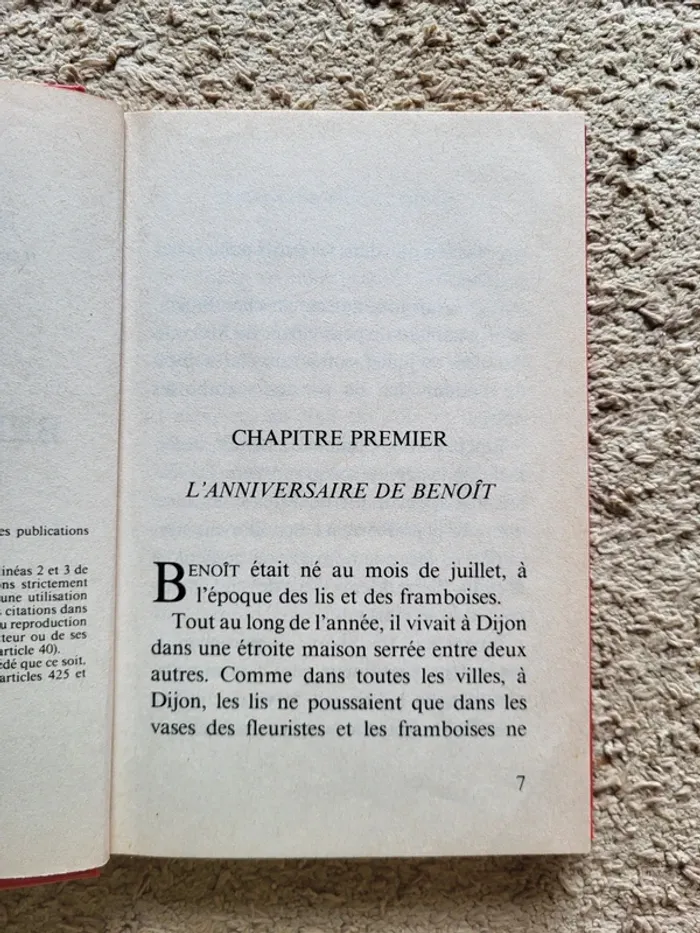 Livre enfant vintage "Benoît, l'arbre et la lune" de Jacqueline Cervob - Bibliothèque Rouge & Or - photo numéro 6
