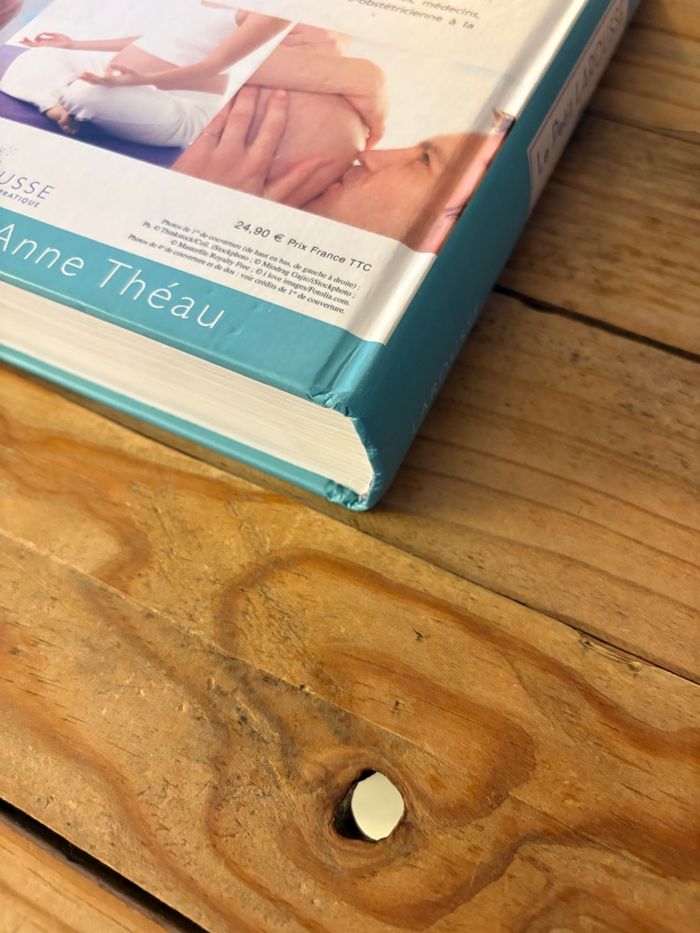 Le petit Larousse des futures mamans - photo numéro 10