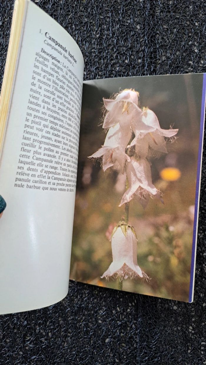 Livre la flore des montagnes - photo numéro 3