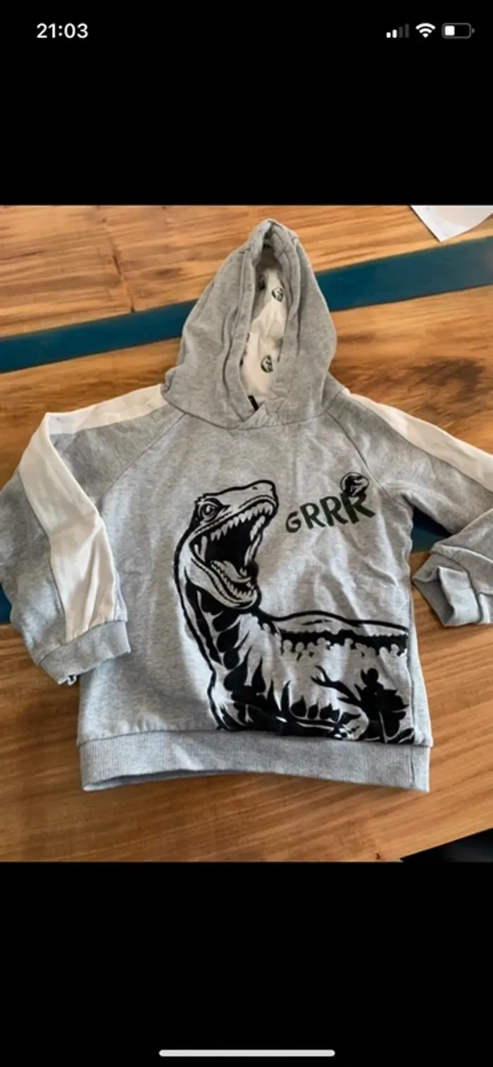 Pull dino taille 8 ans