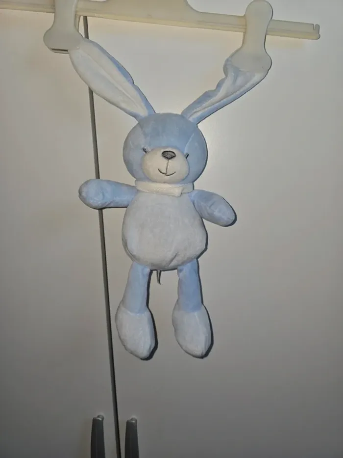 Doudou - photo numéro 2