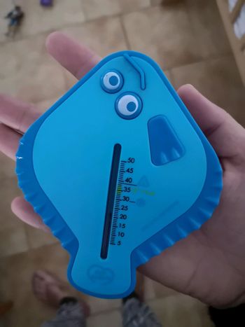 Thermomètre bicolore poisson