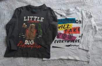 Lot de 2 tee-shirts gris et blanc, Primark en très bon état, taille 3/4 ans