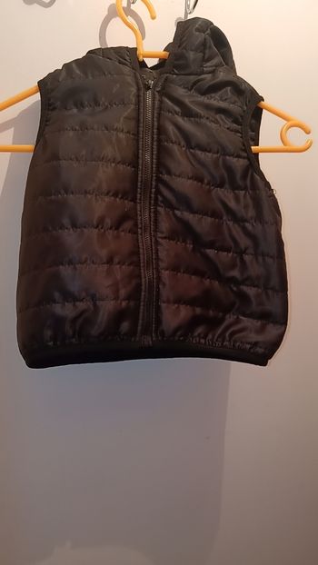 Veste