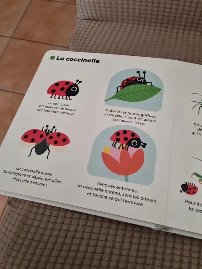 Livre "les petites bêtes " - photo numéro 9