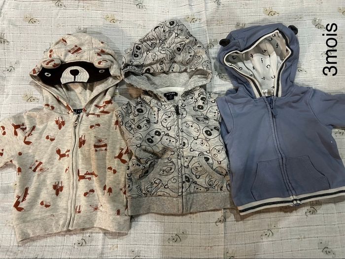 Vestes à capuches