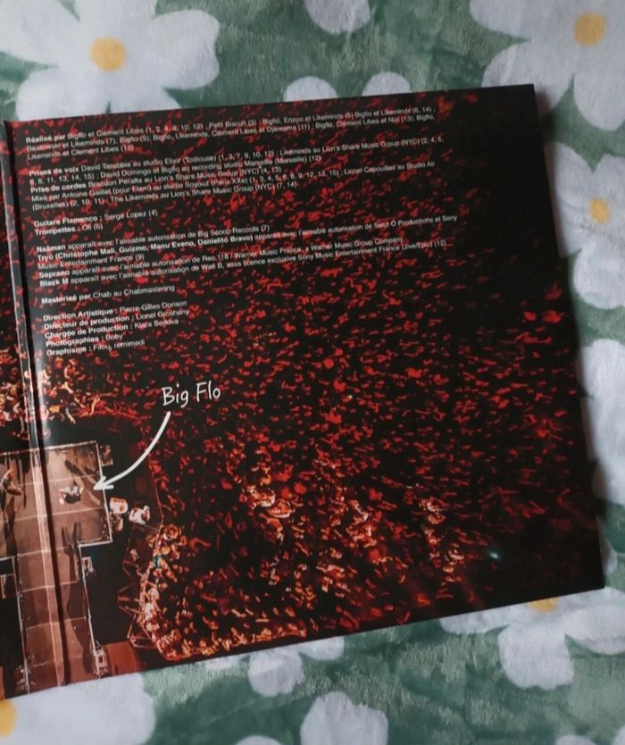 Double Vinyle | Bigflo & Oli " La Vie De Rêve " 💐 - photo numéro 4