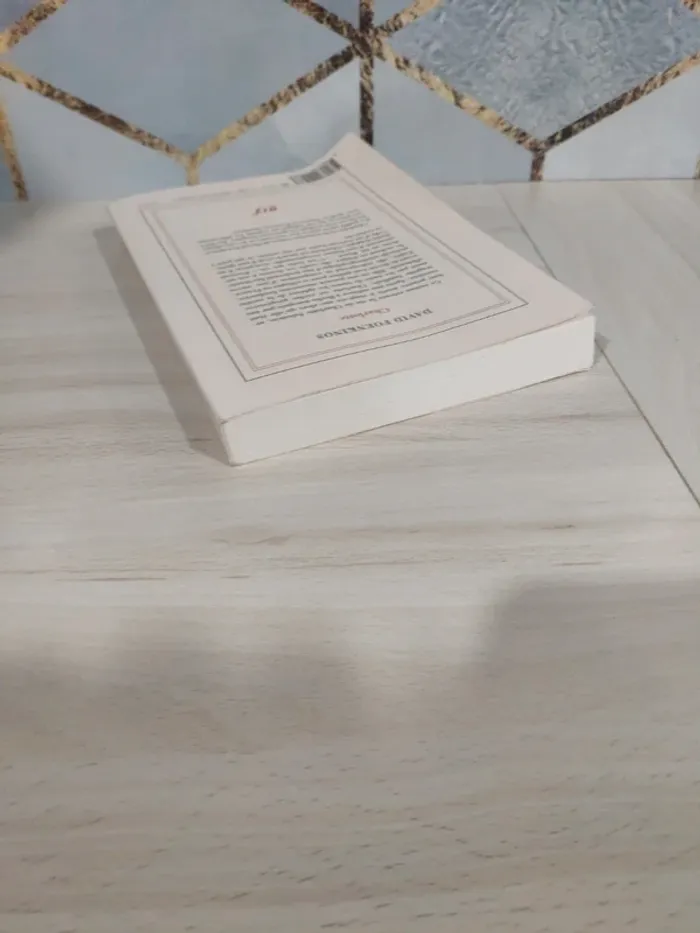 Livre grand format Charlotte Foenkinos - photo numéro 5