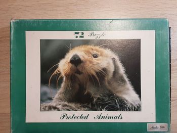 Puzzle 72 pièces marmotte