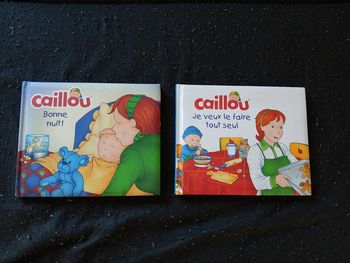 Lot de 2 livres enfant caillou