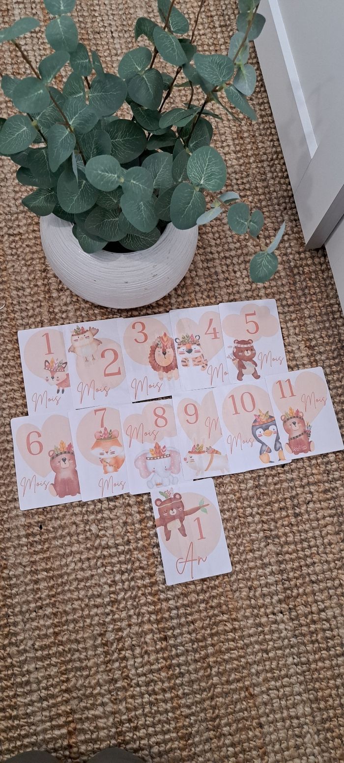 Carte étape - photo numéro 2