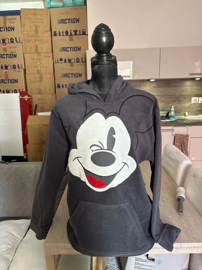 Polaire Mickey Disney land Paris S