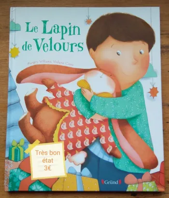 Livre Le lapin de velours