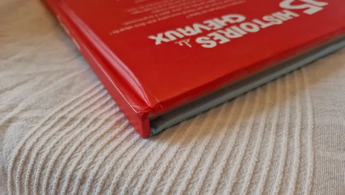 15 histoires de chevaux d evelyne duverne - photo numéro 5