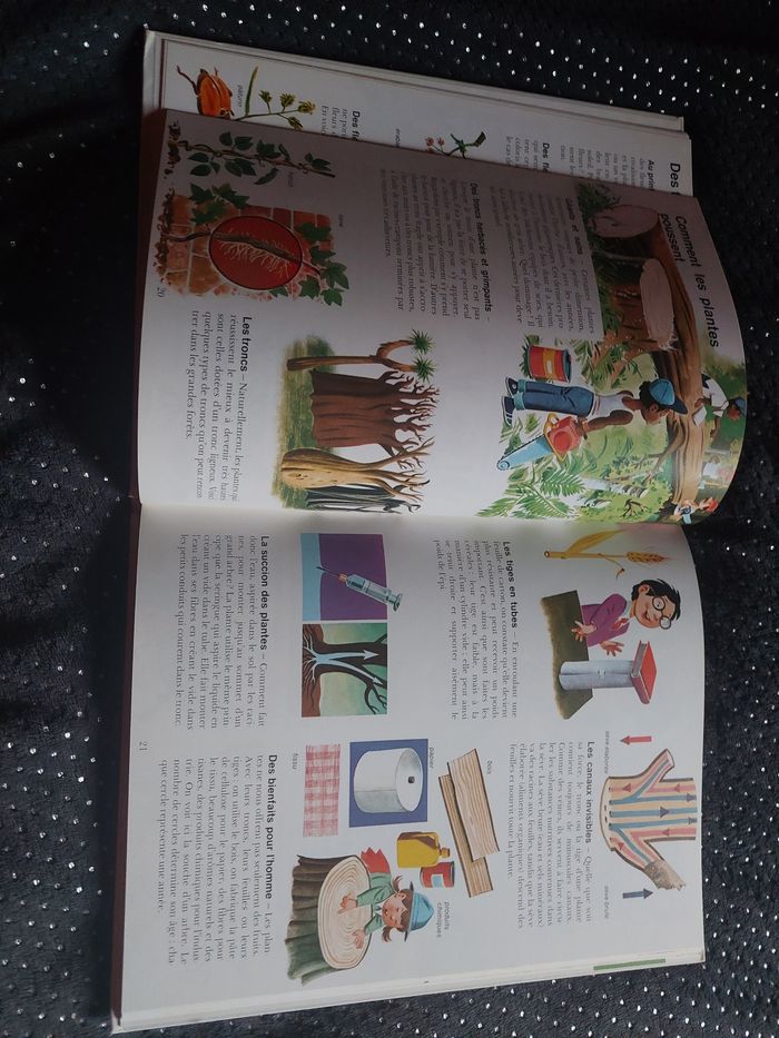 Le livre de la vie, petite encyclopédie - photo numéro 6