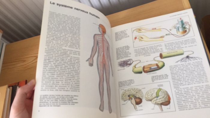 Les techniques de communication - photo numéro 14