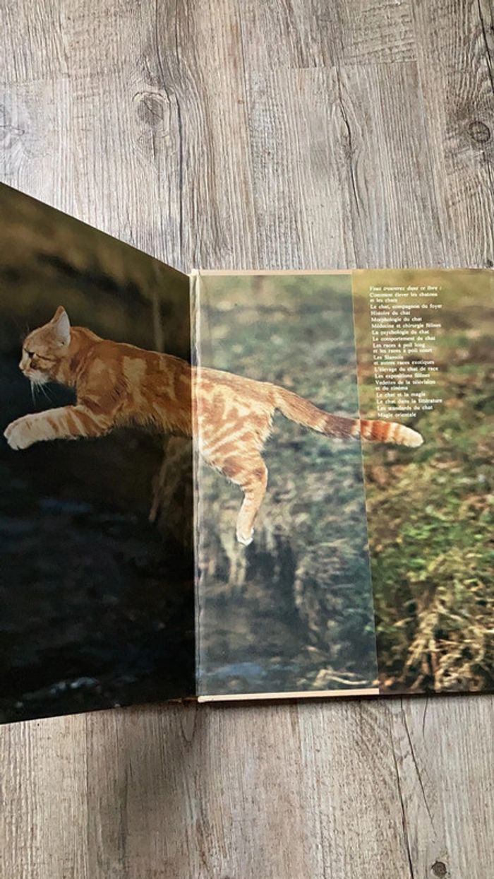 Livre relié Le Monde fascinant des chats - photo numéro 8