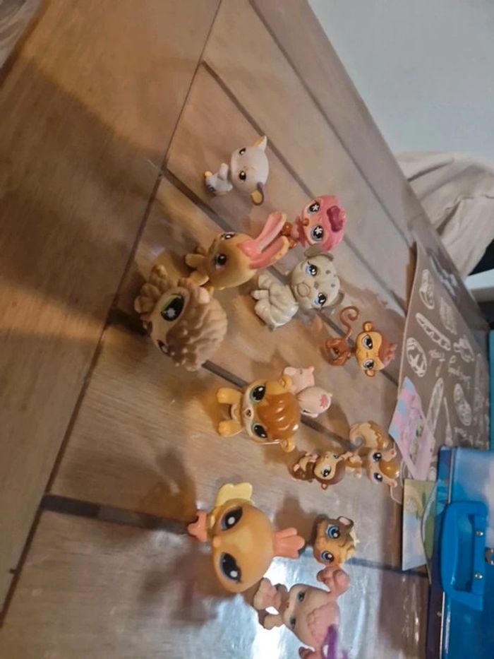 Lot petshop - photo numéro 4