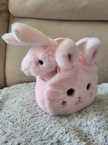 Sacs nounours