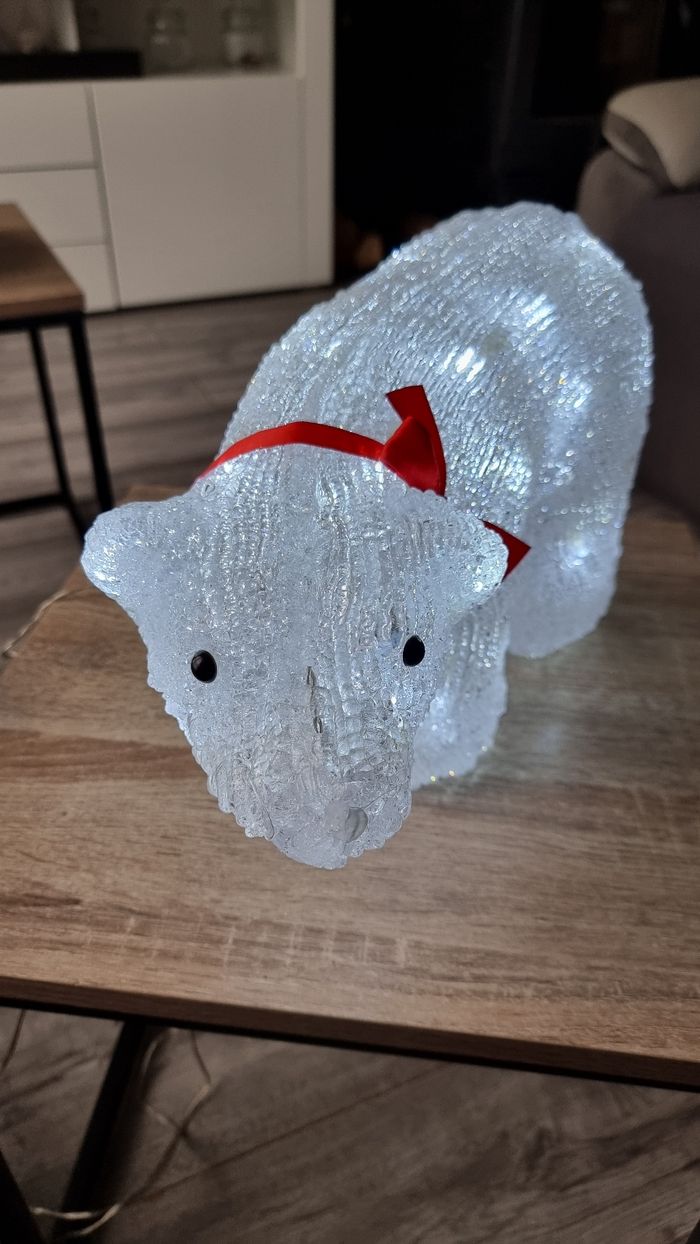 Ours lumineux - photo numéro 3