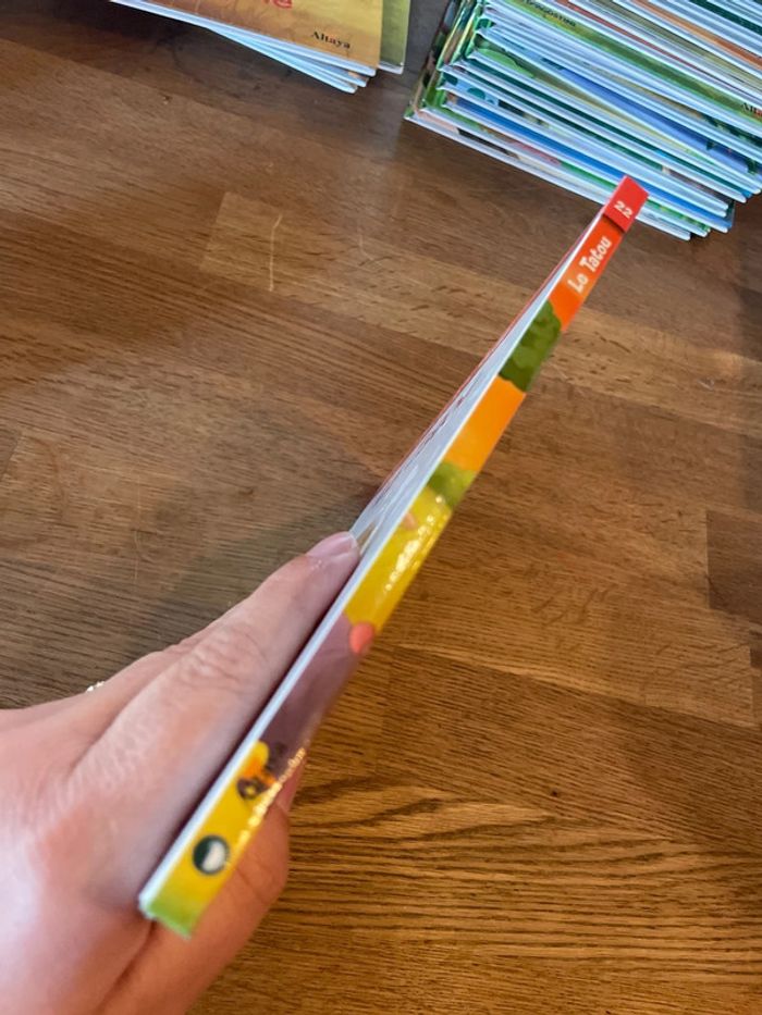 Livre Altaya Le monde des animaux Sauvages Animaux de la savane Le Tatou - photo numéro 2