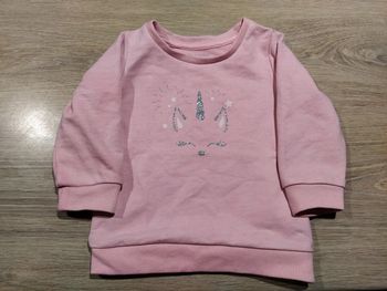 Joli pull licorne