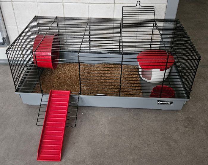 Cage hamster