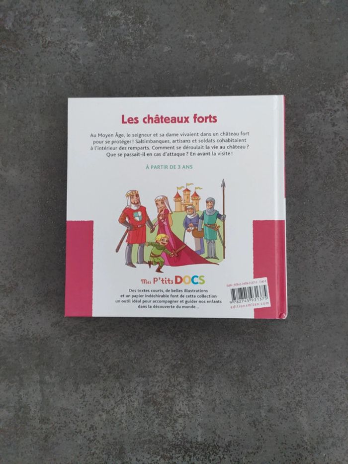 Les châteaux forts - photo numéro 2