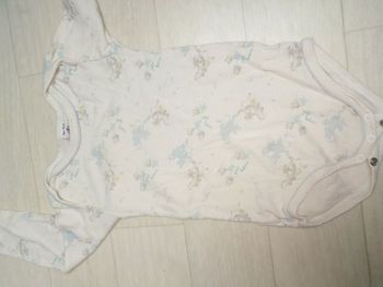 2 bodies manches longues 18 mois Petit Bateau