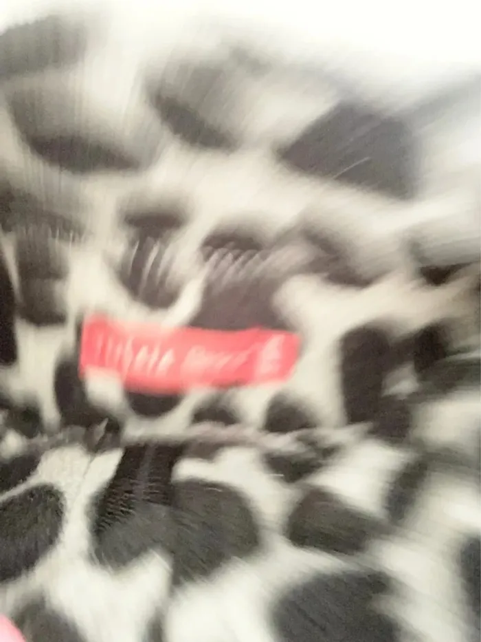 Polar tissaia 5 ans - photo numéro 4