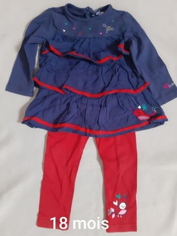 Ensemble fille mi-saison / printemps : tunique + legging - 18 mois