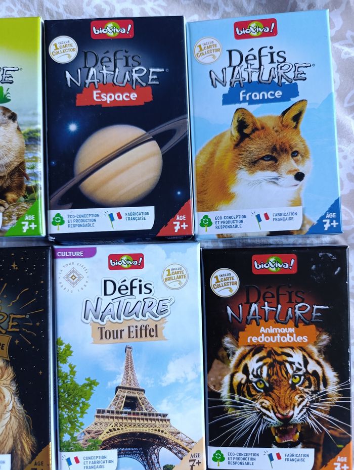 Jeux défis nature - photo numéro 3