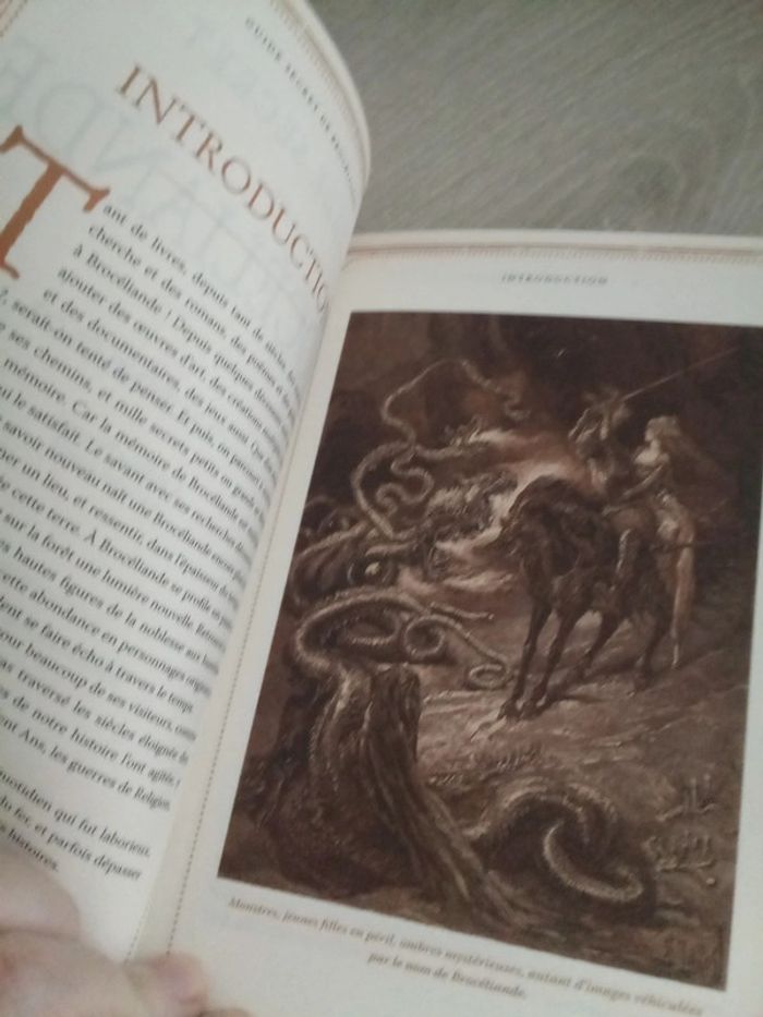 Guide secret de Brocéliande - photo numéro 4