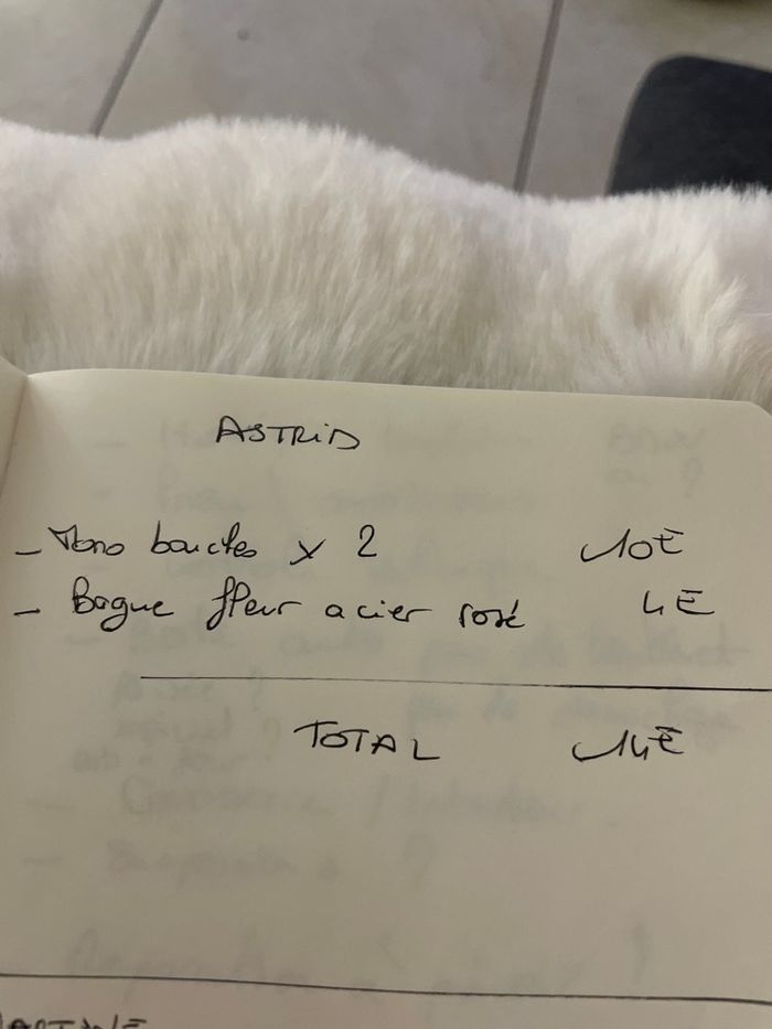 Lot réservé à Astrid