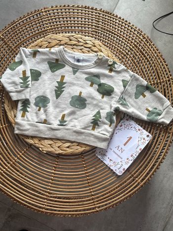 Sweat, petit bateau, 12 mois