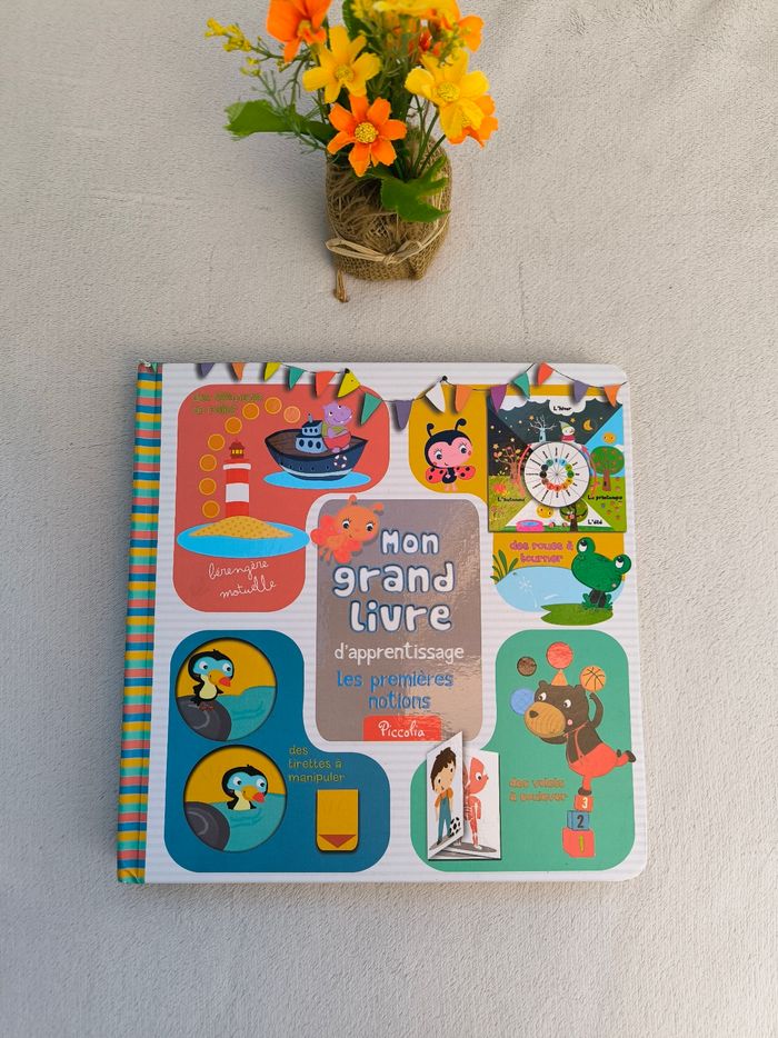 Mon grand livre d'apprentissage Piccolia