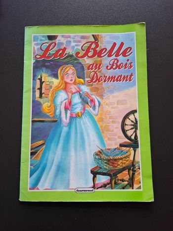 Livre La Belle au Bois Dormant en bon état